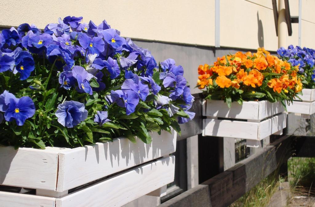 Vimmerby Bed & Breakfast 외부 사진